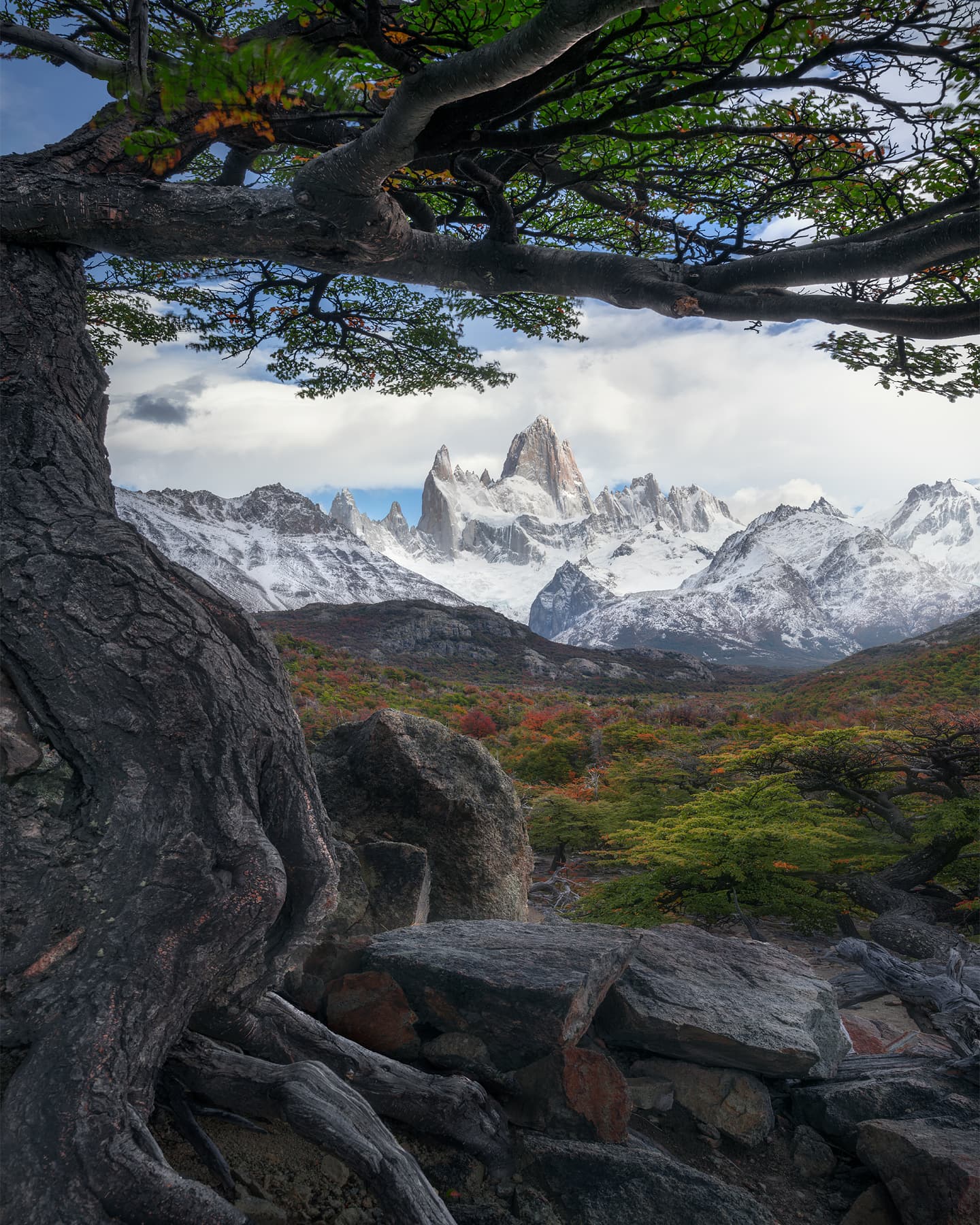 Tree frame - mountains - Limited Edition Fine Art Print