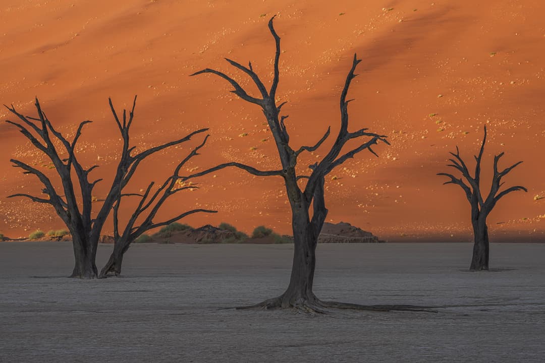 Untitled - desert - Limited Edition Fine Art Print