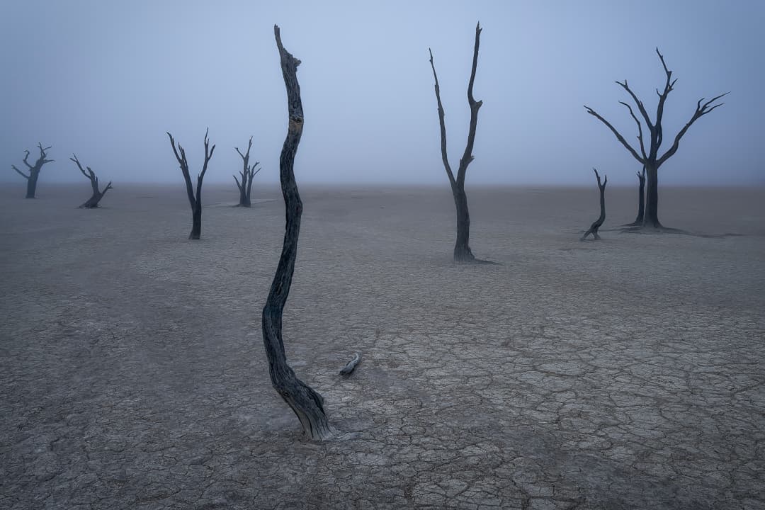 Where Do Interior Designers Buy Fine Art Photography for Their Clients? A Comprehensive Sourcing Guide