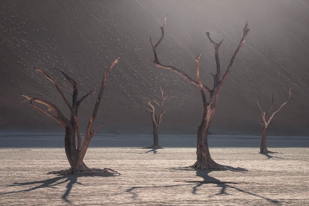 How to Choose Fine Art Landscape Photography for Your Home: A Complete Interior Styling Guide